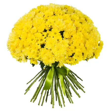 Солнечная мечта