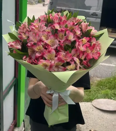 Полный бабочек живот